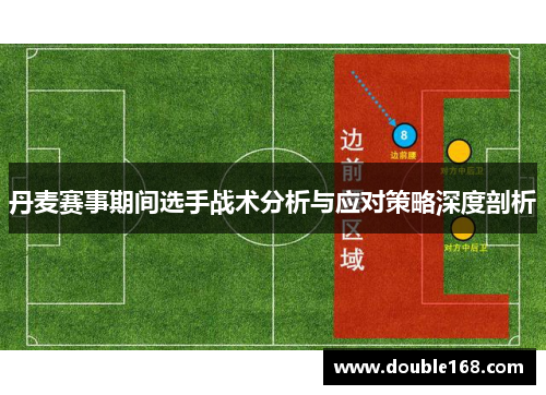 丹麦赛事期间选手战术分析与应对策略深度剖析