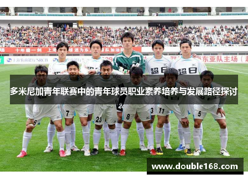 多米尼加青年联赛中的青年球员职业素养培养与发展路径探讨